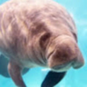 Meet your Posher, Jacqueline